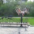 Bench of love and tree of happiness in Dnepropetrovsk