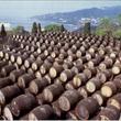 The Main Wines of the Crimea 