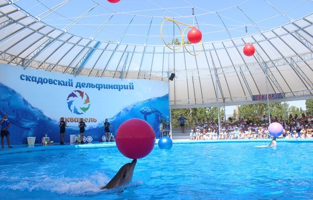Skadovsk dolphinarium