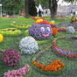 Flowers exhibition in Kiev