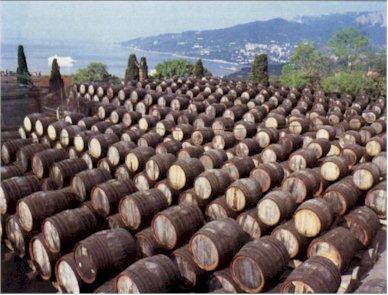 Madeira Wein. Krim