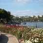 Flowers in Sherbarkov park