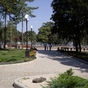 In Sherbakov park