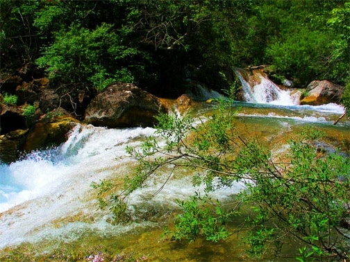 River Canyon Uzundzha